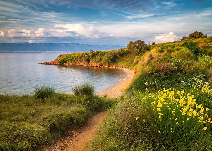 6 Апартаменты Вир